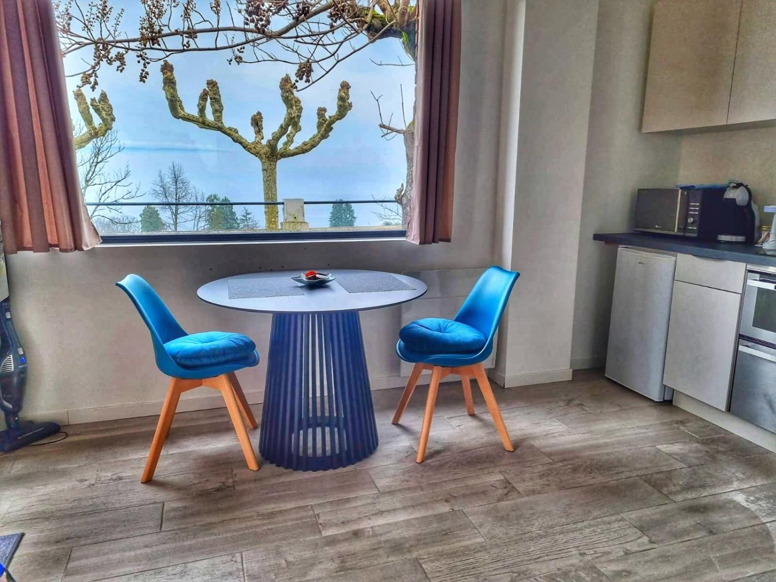 Appartement Cozy 2 Panoramique Lac Leman Thonon-Les-Bains Thonon-les-Bains Exterior foto